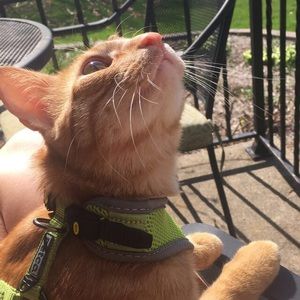 Meet your Posher, Alysa